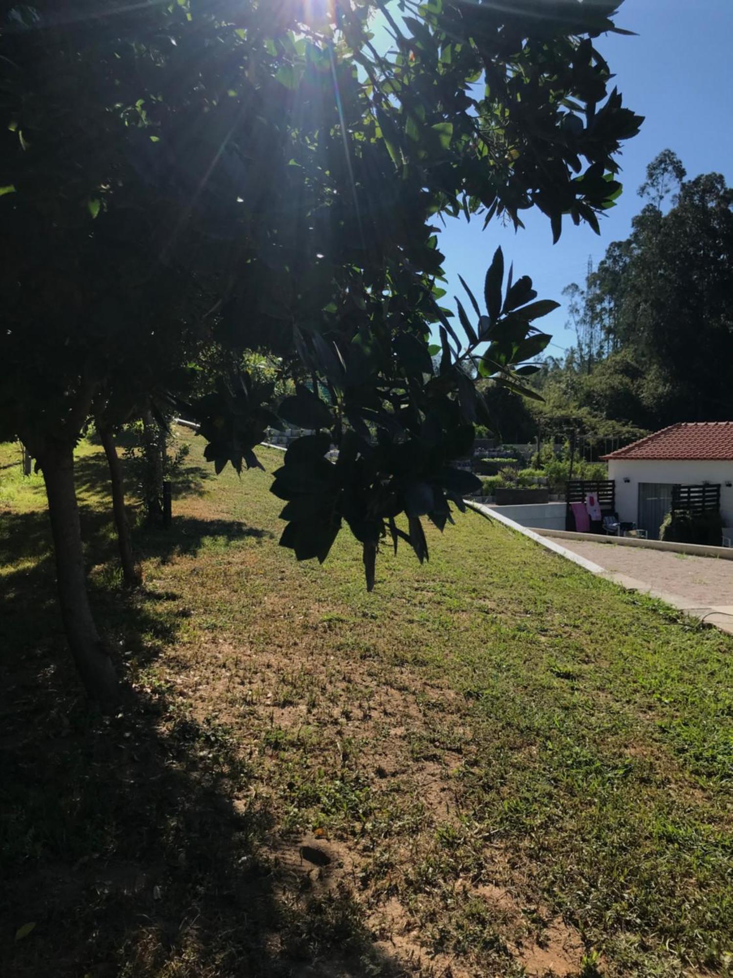 Casa Da Milheira - Agroturismo Oliveira de Azemeis Ngoại thất bức ảnh