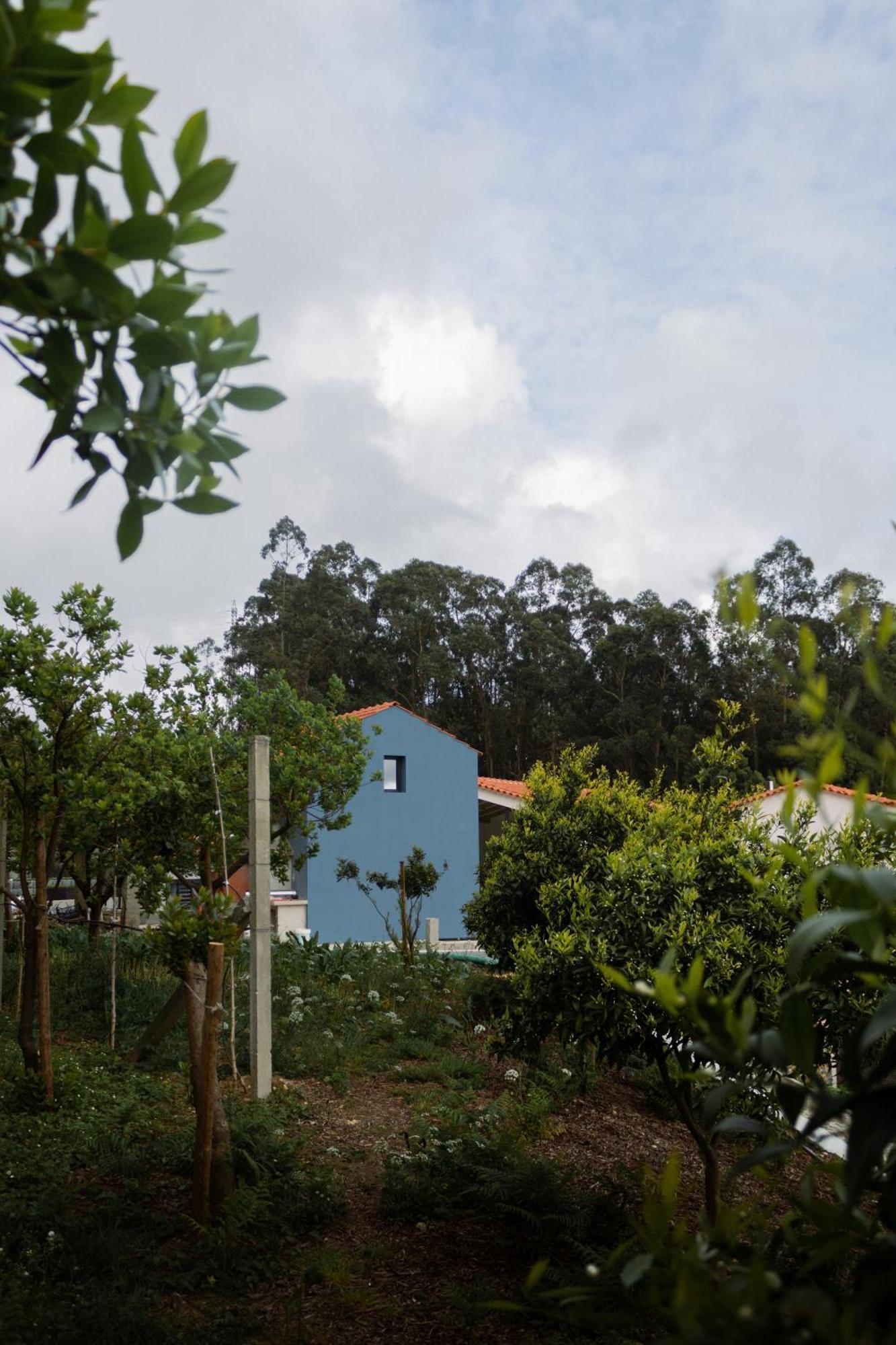 Casa Da Milheira - Agroturismo Oliveira de Azemeis Ngoại thất bức ảnh